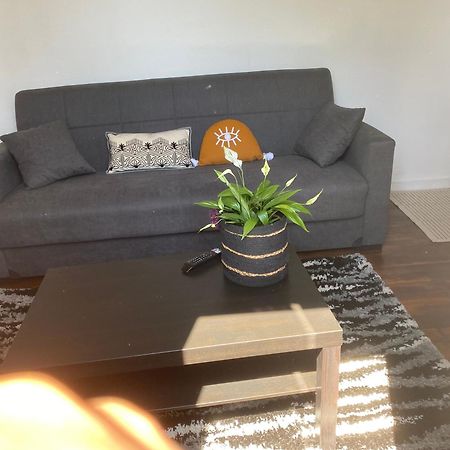 Haut De Jardin Dans Une Maison Dijon Extérieur photo